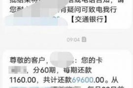 沧州为什么选择专业追讨公司来处理您的债务纠纷？